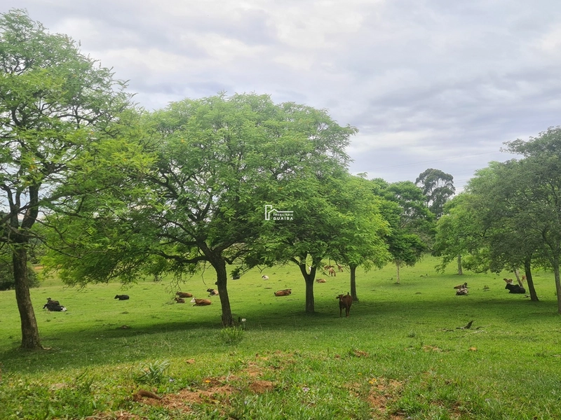 Paraiso particular: 9ª foto da galeria de imagens do imóvel