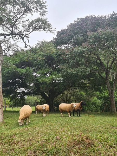 Paraiso particular: 11ª foto da galeria de imagens do imóvel