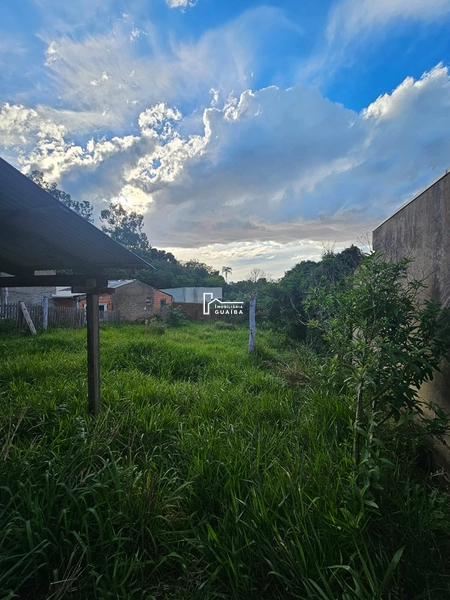 Terreno amplo Cel. Nassuca : 6ª foto da galeria de imagens do imóvel
