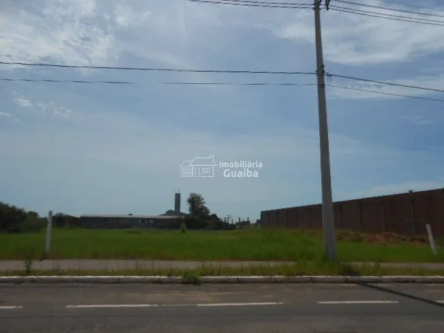 EXCELENTE TERRENO COM FRENTE PARA BR 116!!!: 3ª foto da galeria de imagens do imóvel