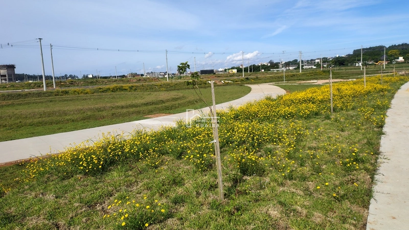 TERRENO NO GUIABA PARK , PRONTO PARA CONSTRUIR: 12ª foto da galeria de imagens do imóvel