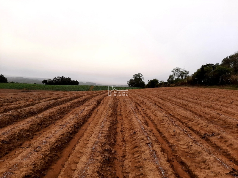 TERRENO A VENDA EM MARIANA PIMENTEL: 9ª foto da galeria de imagens do imóvel