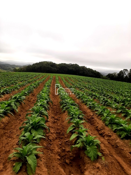 TERRENO A VENDA EM MARIANA PIMENTEL: 5ª foto da galeria de imagens do imóvel