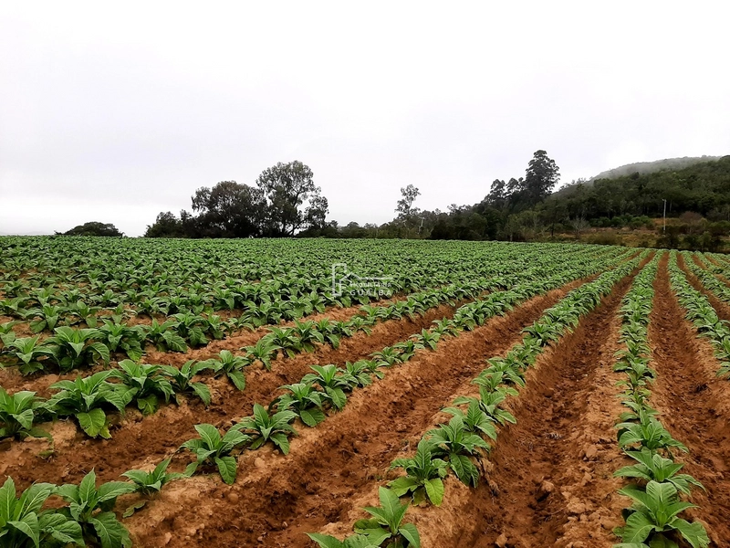 TERRENO A VENDA EM MARIANA PIMENTEL: 8ª foto da galeria de imagens do imóvel