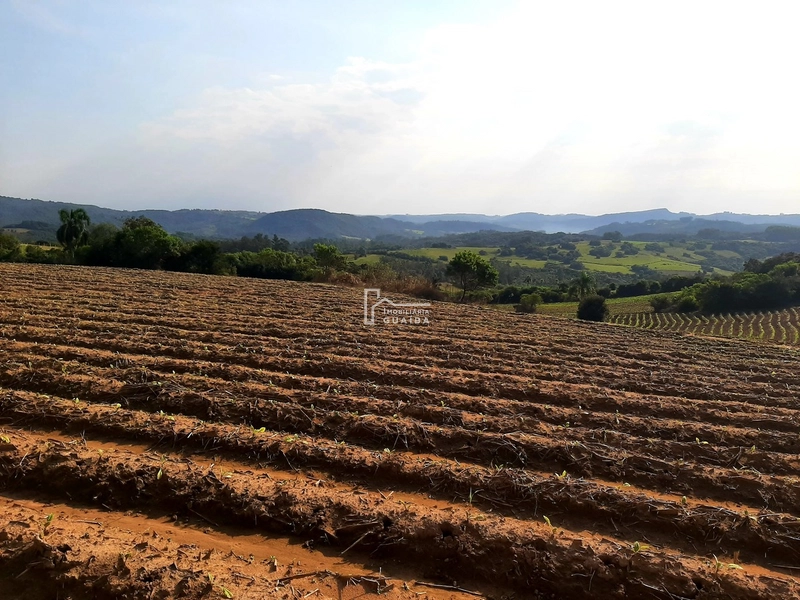 TERRENO A VENDA EM MARIANA PIMENTEL: 6ª foto da galeria de imagens do imóvel