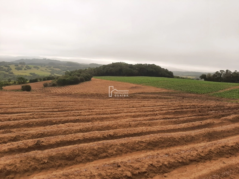 TERRENO A VENDA EM MARIANA PIMENTEL: 1ª foto da galeria de imagens do imóvel