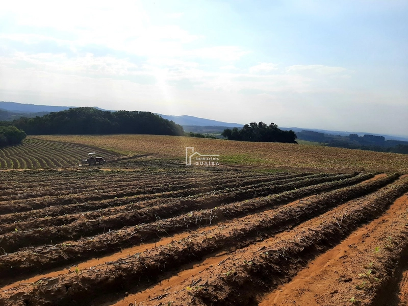 TERRENO A VENDA EM MARIANA PIMENTEL: 10ª foto da galeria de imagens do imóvel