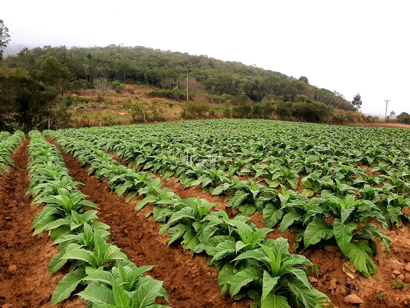 TERRENO A VENDA EM MARIANA PIMENTEL: 14ª foto da galeria de imagens do imóvel