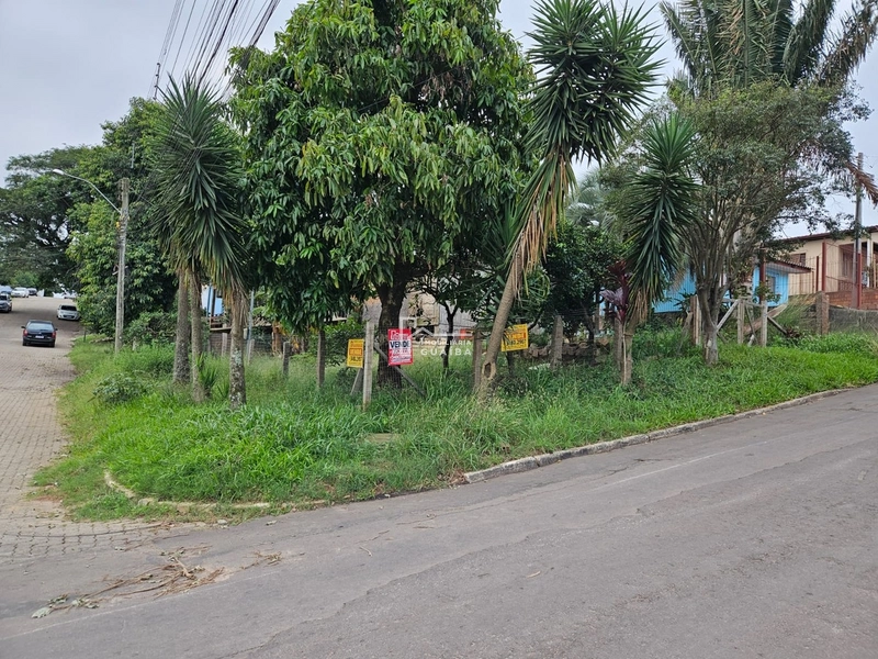 terreno de esquina: 7ª foto da galeria de imagens do imóvel