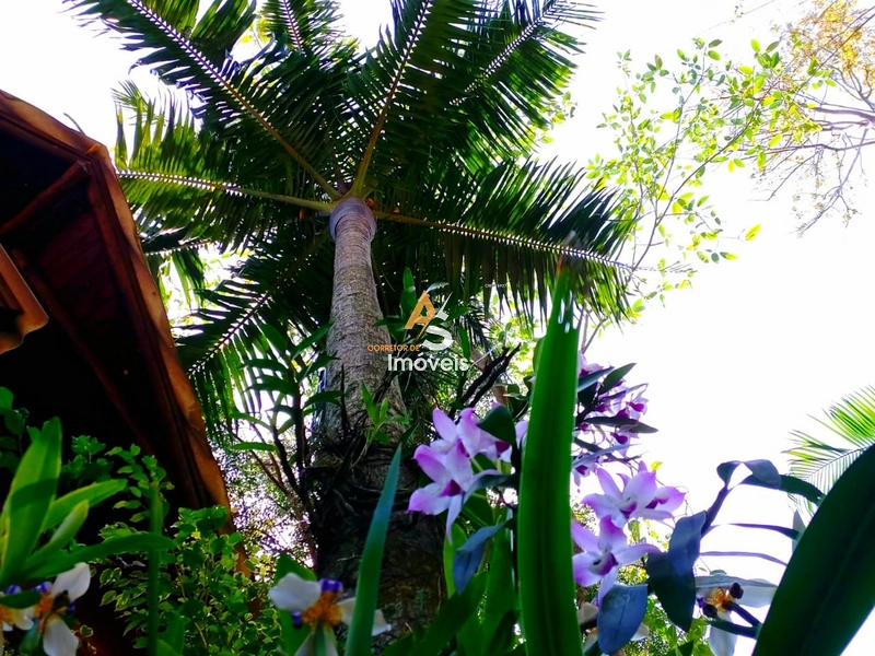 LINDO SÍTIO EM MAQUINÉ!!!: 15ª foto da galeria de imagens do imóvel