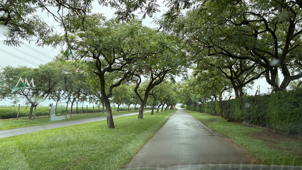 6ª foto do condomínio