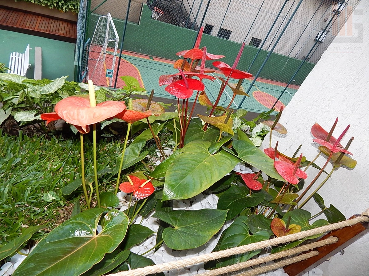 7ª foto do condomínio