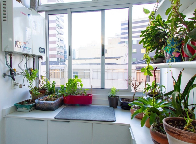 Apartamento para venda em higienopolis com 3 quartos 1 vaga : 31ª foto da galeria de imagens do imóvel