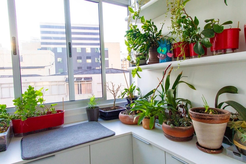 Apartamento para venda em higienopolis com 3 quartos 1 vaga : 41ª foto da galeria de imagens do imóvel