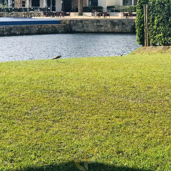 ✨ Residência exclusiva com 6 suítes no Condomínio Enseada — sofisticação em cada detalhe: 18ª foto da galeria de imagens do imóvel