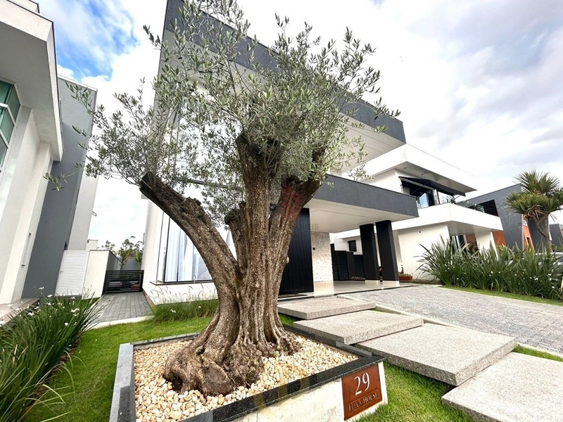 Imóvel residencial ou comercial