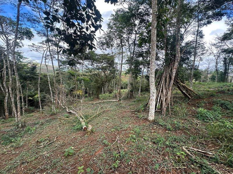 Terreno de 24.497m2 à venda em condomínio fechado vivendas das fontes Juiz de Fora MG : 27ª foto da galeria de imagens do imóvel
