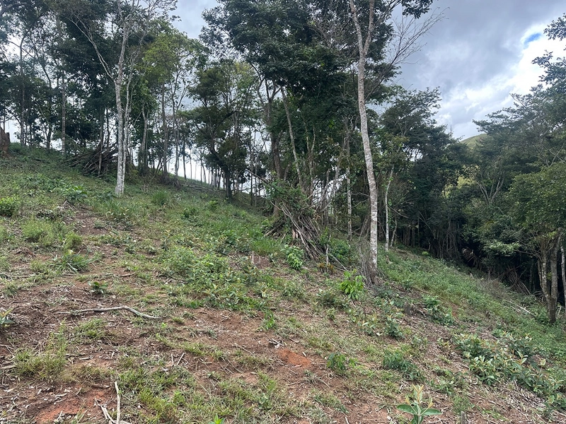 Terreno de 24.497m2 à venda em condomínio fechado vivendas das fontes Juiz de Fora MG : 26ª foto da galeria de imagens do imóvel