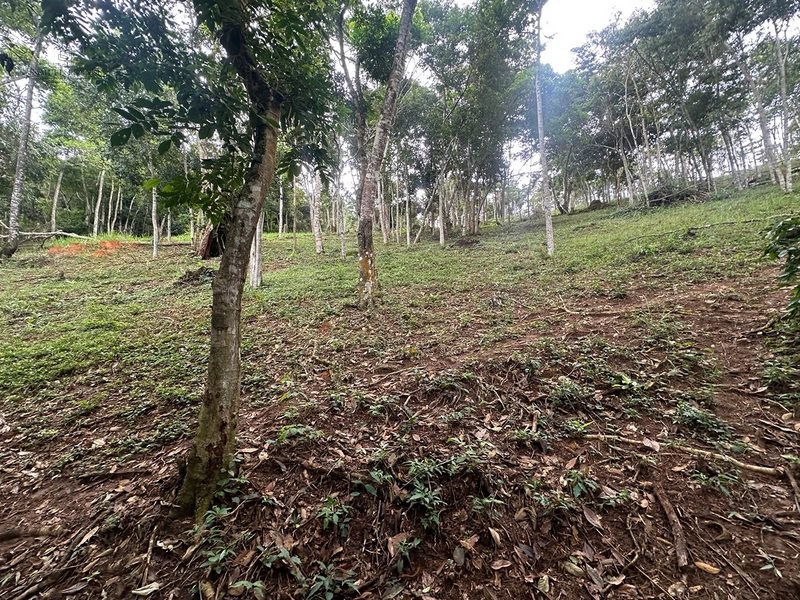 Terreno de 24.497m2 à venda em condomínio fechado vivendas das fontes Juiz de Fora MG : 20ª foto da galeria de imagens do imóvel