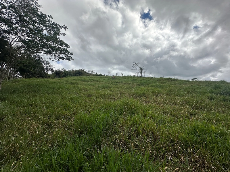 Terreno de 24.497m2 à venda em condomínio fechado vivendas das fontes Juiz de Fora MG : 28ª foto da galeria de imagens do imóvel