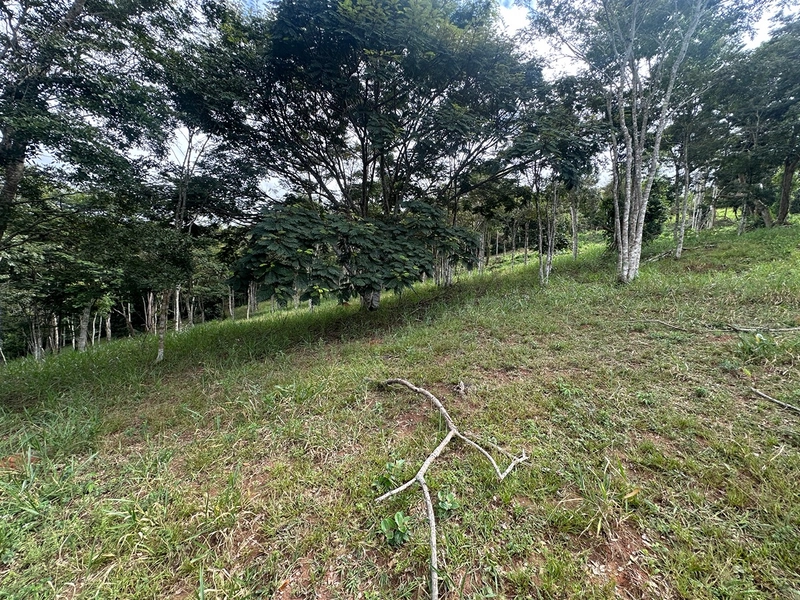 Terreno de 24.497m2 à venda em condomínio fechado vivendas das fontes Juiz de Fora MG : 25ª foto da galeria de imagens do imóvel
