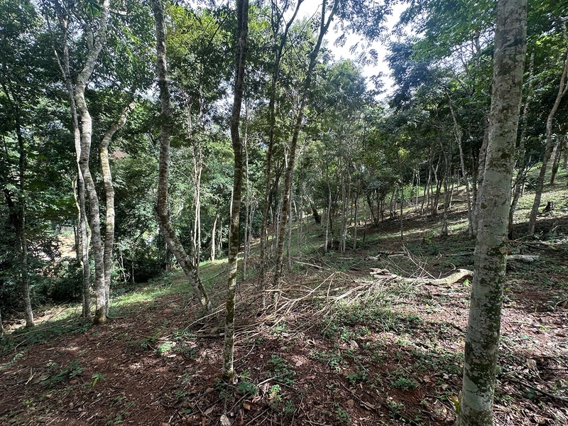 Terreno de 24.497m2 à venda em condomínio fechado vivendas das fontes Juiz de Fora MG : 22ª foto da galeria de imagens do imóvel