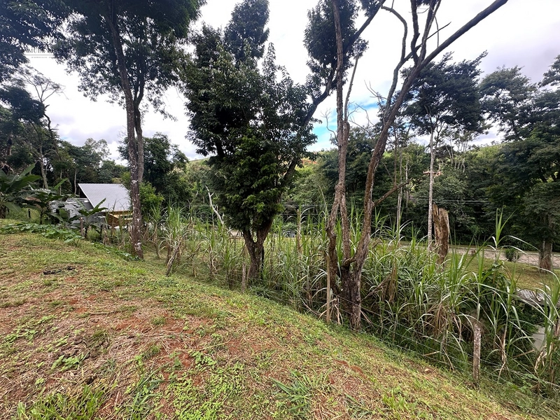 Terreno de 24.497m2 à venda em condomínio fechado vivendas das fontes Juiz de Fora MG : 14ª foto da galeria de imagens do imóvel