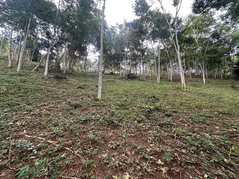 Terreno de 24.497m2 à venda em condomínio fechado vivendas das fontes Juiz de Fora MG : 21ª foto da galeria de imagens do imóvel