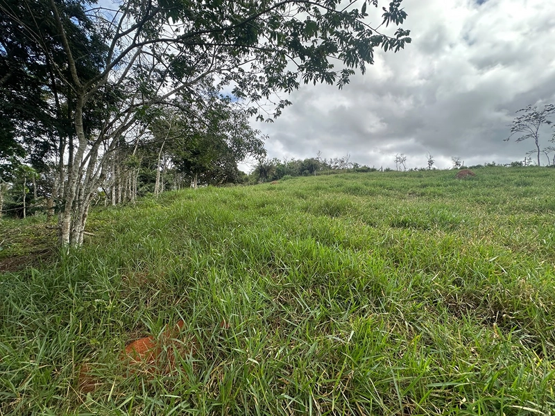 Terreno de 24.497m2 à venda em condomínio fechado vivendas das fontes Juiz de Fora MG : 29ª foto da galeria de imagens do imóvel