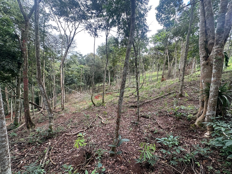 Terreno de 24.497m2 à venda em condomínio fechado vivendas das fontes Juiz de Fora MG : 23ª foto da galeria de imagens do imóvel