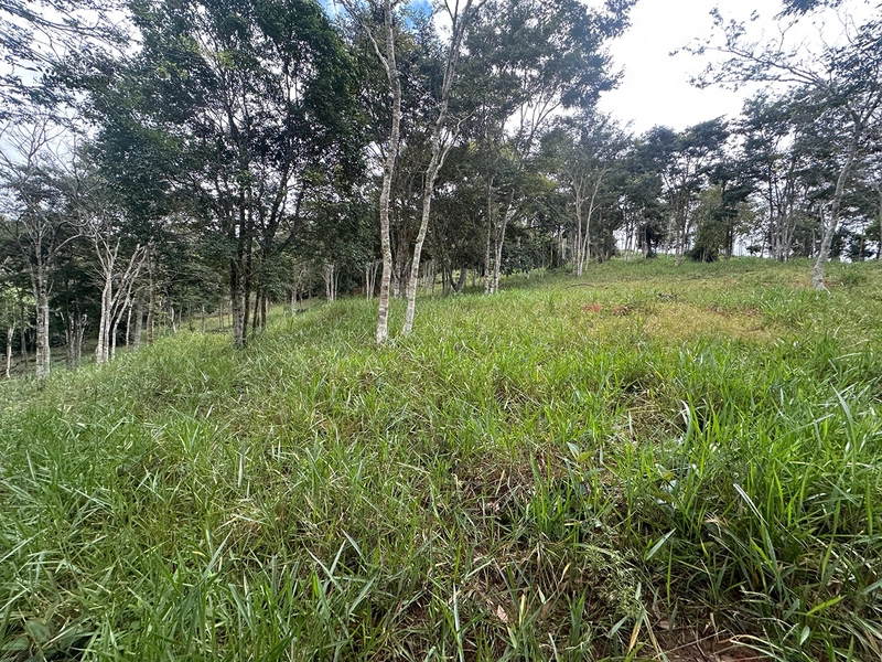 Terreno de 24.497m2 à venda em condomínio fechado vivendas das fontes Juiz de Fora MG : 24ª foto da galeria de imagens do imóvel