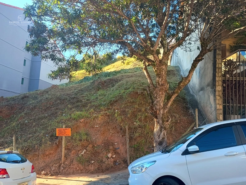 Terreno de 500m² na Rua Guaçuí, São Mateus | Projeto para Edifício Residencial | R$ 979.000: 3ª foto da galeria de imagens do imóvel