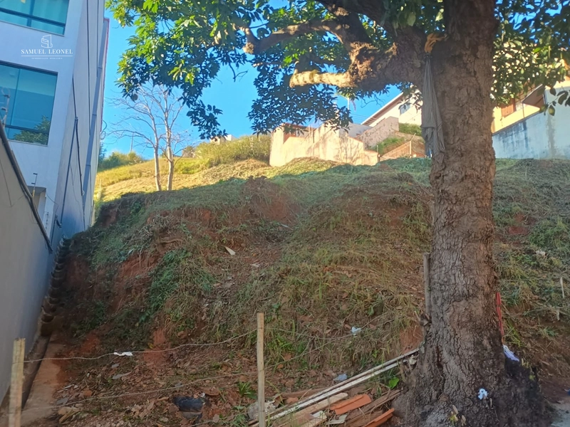 Terreno de 500m² na Rua Guaçuí, São Mateus | Projeto para Edifício Residencial | R$ 979.000: 2ª foto da galeria de imagens do imóvel
