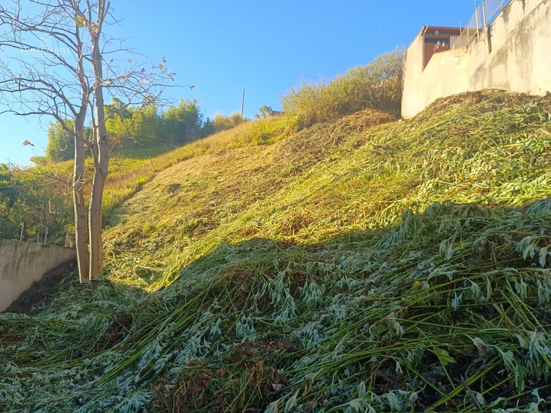 Terreno de 500m² na Rua Guaçuí, São Mateus | Projeto para Edifício Residencial | R$ 979.000: 4ª foto da galeria de imagens do imóvel