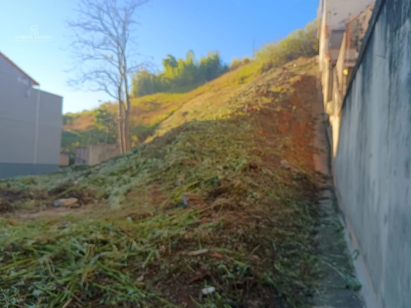Terreno de 500m² na Rua Guaçuí, São Mateus | Projeto para Edifício Residencial | R$ 979.000: 7ª foto da galeria de imagens do imóvel