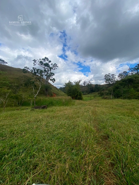 Sítio de 15 hectares com 4 nascentes e riacho em Ewbank da Câmara – MG: 7ª foto da galeria de imagens do imóvel
