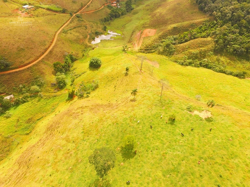 Sítio de 15 hectares com 4 nascentes e riacho em Ewbank da Câmara – MG: 4ª foto da galeria de imagens do imóvel