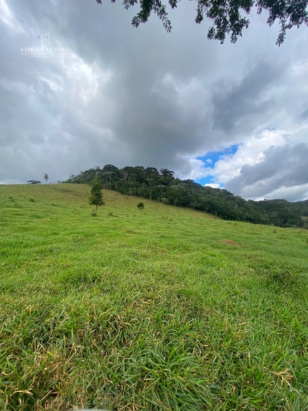 Sítio de 15 hectares com 4 nascentes e riacho em Ewbank da Câmara – MG: 9ª foto da galeria de imagens do imóvel