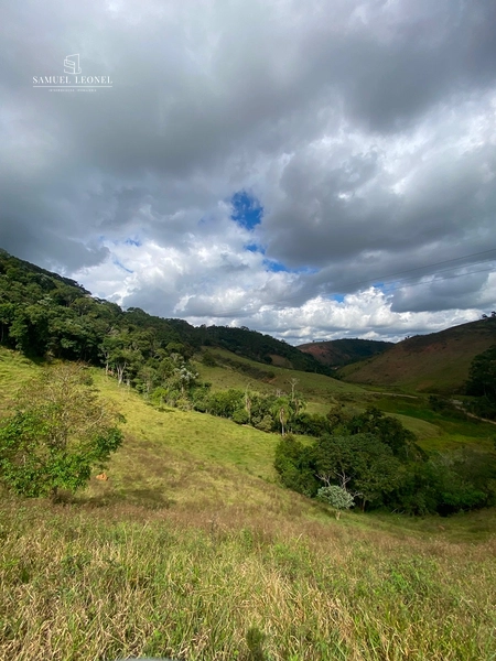Sítio de 15 hectares com 4 nascentes e riacho em Ewbank da Câmara – MG: 8ª foto da galeria de imagens do imóvel