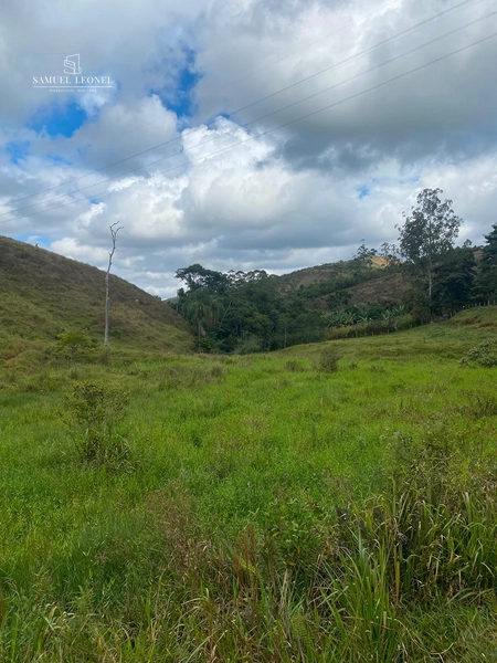 Sítio de 15 hectares com 4 nascentes e riacho em Ewbank da Câmara – MG: 2ª foto da galeria de imagens do imóvel