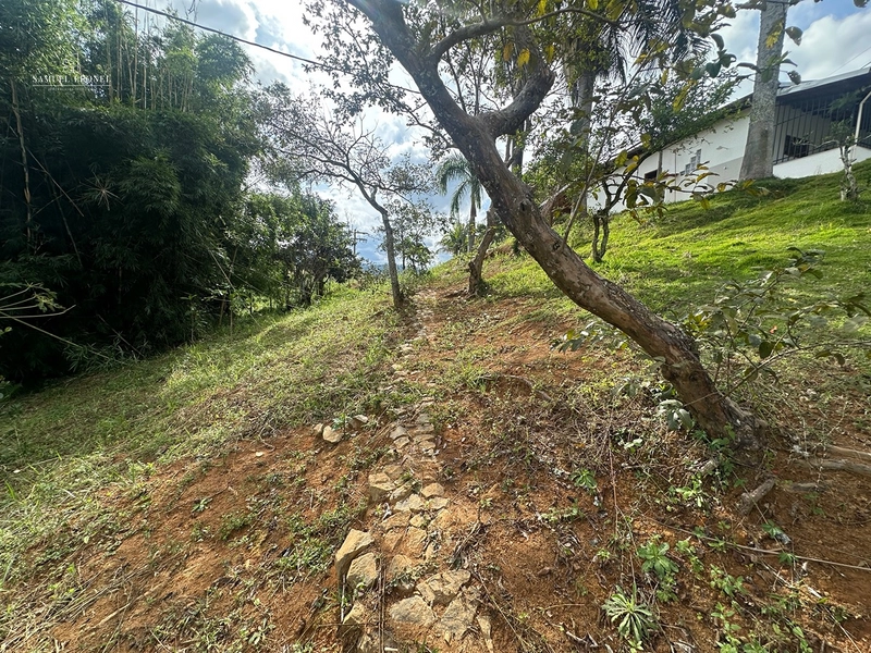 Chácara de 5000m2 com dois quartos, piscina, varanda gurmet, mais casa de apoio à venda em Caeté.: 31ª foto da galeria de imagens do imóvel