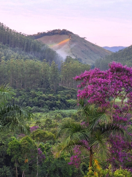Sítio Exclusivo em Pedro Teixeira Privacidade, Natureza e Conforto para Toda a Família A venda por 1.190.000,00 : 2ª foto da galeria de imagens do imóvel