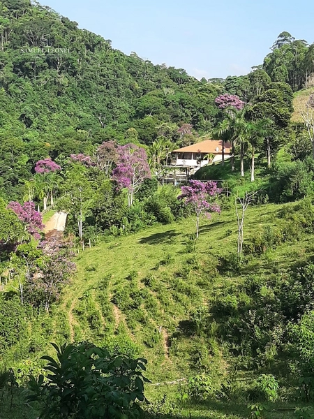 Sítio Exclusivo em Pedro Teixeira Privacidade, Natureza e Conforto para Toda a Família A venda por 1.190.000,00 : 1ª foto da galeria de imagens do imóvel
