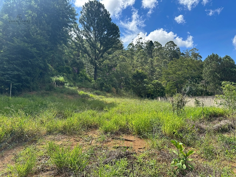 Lote/tereno de 2.000 m2 para venda por 600.000,00: 12ª foto da galeria de imagens do imóvel