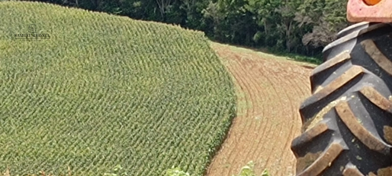 Fazenda à venda com 415h: 29ª foto da galeria de imagens do imóvel