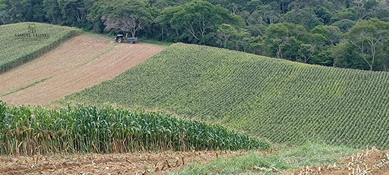 Fazenda à venda com 415h: 25ª foto da galeria de imagens do imóvel