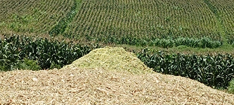 Fazenda à venda com 415h: 31ª foto da galeria de imagens do imóvel