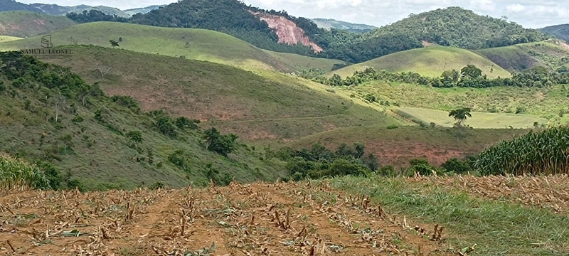 Fazenda à venda com 415h: 27ª foto da galeria de imagens do imóvel