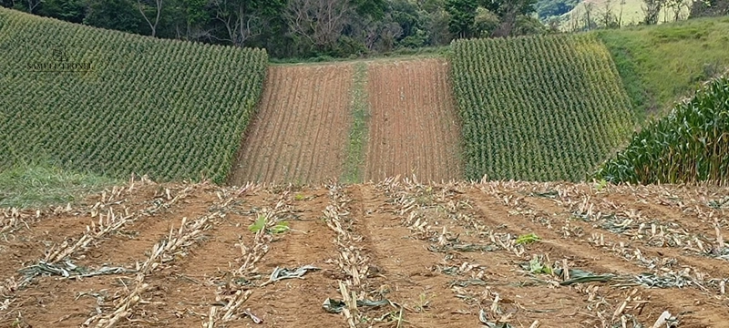 Fazenda à venda com 415h: 26ª foto da galeria de imagens do imóvel