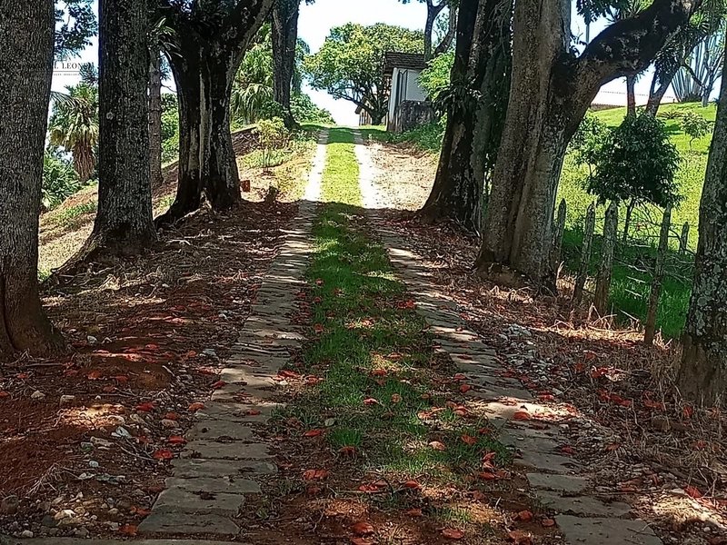 Fazenda à venda com 415h: 20ª foto da galeria de imagens do imóvel